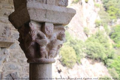 photographie “Le Jour ni l’Heure 5923 : béliers ailés, XIe ou XIIe s., galerie reconstituée de Saint-Martin du Canigou, Casteil, Conflent, Pyrénées-Orientales, Roussillon, vendredi 10 mai 2024, 16:30:42” par Renaud Camus — www.renaud-camus.net — chapiteau, béliers, béliers ailés, galerie, cloître, Canigou, Saint-Martin-du-Canigou, abbaye, Saint-Martin, Casteil, Vernet-les-Bains, Prades, Conflent, Roussillon, Roussillon roman, roman, romane, romanesque, Pyrénées-Orientales