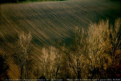 photographie “Le Jour ni l\'Heure 3927 : Paysage pré-posthume n° 16 — En Lomagne — butte de Castillon, vallée de l\'Auroue, Gers, Gascogne, Midi-Pyrénées, France, lundi 9 janvier 2012, 16:16:04” par Renaud Camus — www.renaud-camus.net — landscape, paesagio, preposthumous, valley, trees, arbres, champs, fields