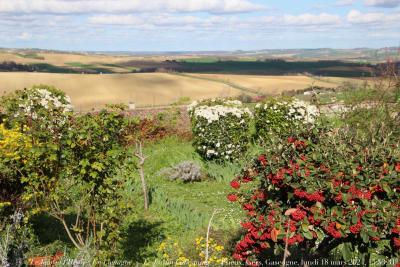 photographie “Le Jour ni l’Heure 3458 : En Lomagne — Le Jardin Cabestaing — Plieux, Gers, Gascogne, lundi 18 mars 2024, 15:53:31” par Renaud Camus — www.renaud-camus.net — Plieux, Gers, Gascogne, Lomagne, En Lomagne, jardin, Jardin Cabestaing, terrasse, Arratz, vallée de l’Arratz