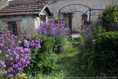 photographie “Le Jour ni l’Heure 7086 : En Lomagne — Au jardin Cabestaing — Plieux, Gers, Gascogne, samedi 18 mai 2024, 17:10:08” par Renaud Camus — www.renaud-camus.net — Lomagne, En Lomagne, Plieux, Gers, Gascogne, jardin, jardin Cabestaing, Au jardin Cabestaing