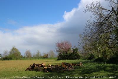 photographie “Le Jour ni l’Heure 4563 : En Lomagne — Dans les champs — Plieux, Gers, Gascogne, mardi 9 avril 2024, 16:09:25” par Renaud Camus — www.renaud-camus.net — paysage, Plieux, Gers, Gascogne, Lomagne, En Lomagne, champs, Dans les champs, ciel, nuage