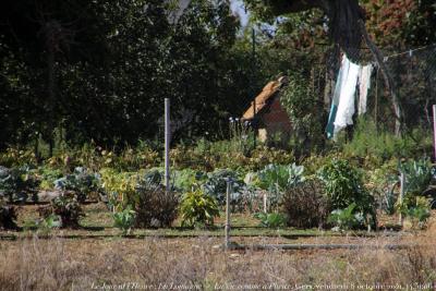 photographie “Le Jour ni l’Heure 3628 : En Lomagne — La Vie comme à Plieux, Gers, Gascogne, vendredi 8 octobre 2021, 14:51:06” par Renaud Camus — www.renaud-camus.net — Le Jour ni l’Heure 3628, En Lomagne, La Vie comme à Plieux, Gers, Gascogne, vendredi 8 octobre 2021, 14:51:06, linge, pinces, potager