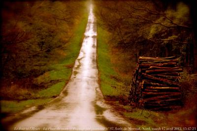 photographie “Le Jour ni l’Heure 1124 : La Place du mort — Paysage pré-posthume n° 57, forêt de Mormal, Preux-au-Bois, Nord, mardi 17 avril 2012, 15:47:23” par Renaud Camus — www.renaud-camus.net — Preux-au-Bois, Landrecies, Sassegnies, Berlaimont, Sambre, Maroilles, forêt, forest, Cambrésis, landscape
