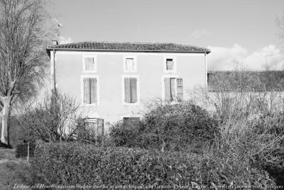 photographie “Le Jour ni l’Heure 7597 : maison traditionnelle ayant échappé à la Grande Pelade — Layrac, Lot-et-Garonne, samedi 16 janvier 2016, 15:55:00” par Renaud Camus — www.renaud-camus.net — Layrac, Lot-et-Garonne, Aquitaine, enduit, crépi, maison, Grande Pelade, façade, architecture, « Arrêtez le massacre ! », 22 janvier 2016