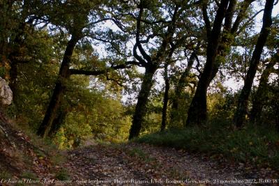 photographie “Le Jour ni l’Heure 0424 : En Lomagne — sur le chemin, Heuré-Bartens, L’Isle-Bouzon, Gers, Gascogne, mercredi 23 novembre 2022, 16:00:48” par Renaud Camus — www.renaud-camus.net — Lomagne, En Lomagne, chemin, le chemin, Heuré-Bartens, Gers, Gascogne, caminus-caminus