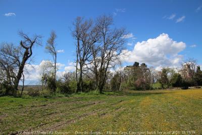 photographie “Le Jour ni l’Heure 4157 : En Lomagne — Dans les champs — Plieux, Gers, Gascogne, lundi 1er avril 2024, 15:33:39” par Renaud Camus — www.renaud-camus.net — champs, Dans les champs, Lomagne, En Lomagne, Gers, Gascogne, Plieux, château, printemps