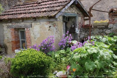 photographie “Le Jour ni l’Heure 6556 : En Lomagne — coin de jardin à Plieux, Gers, lundi 22 mai 2023, 14:20:41” par Renaud Camus — www.renaud-camus.net — jardin, coin de jardin, Plieux, Lomagne, En Lomagne, Gets, Gers, Gascogne