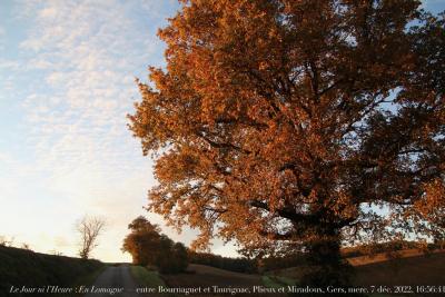 photographie “Le Jour ni l’Heure 1168 : En Lomagne — entre Bournaguet (Plieux) et Taurignac (Miradoux), Gers, Gascogne, mercredi 7 décembre 2022, 16:56:41” par Renaud Camus — www.renaud-camus.net — Lomagne, En Lomagne, Bournaguet, Plieux, Taurignac, Miradoux, Gers, Gascogne
