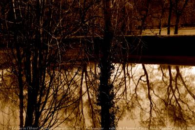photographie “Le Jour ni l\'Heure 3901 : Paysage pré-posthume n° 25 (“L\'Étang”) — En Lomagne — vallée de l\'Auroue, Subervie, Plieux, Gers, Gascogne, Midi-Pyrénées, France, lundi 9 janvier 2012, 16:10:26” par Renaud Camus — www.renaud-camus.net — landscape, étang, pond, valley, eau, water, réservoir, arbres, trees