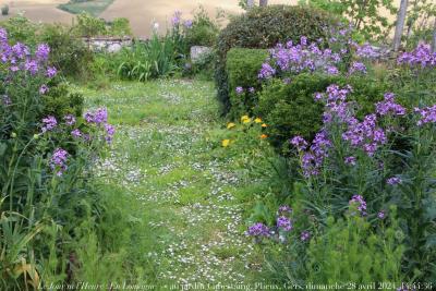 photographie “Le Jour ni l’Heure 5471 : En Lomagne — au jardin Cabestaing, Plieux, Gers, dimanche 28 avril 2024, 14:44:36” par Renaud Camus — www.renaud-camus.net — jardin, fleurs, Cabestaing, jardin Cabestaing, Plieux, Gers, Gascogne, Lomagne, En Lomagne