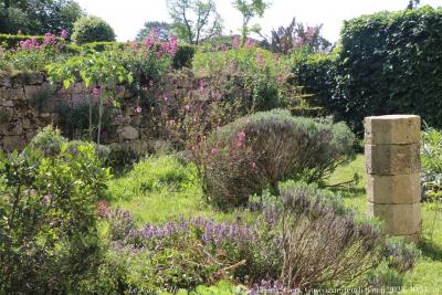 photographie “Le Jour ni l’Heure 3951 : Au jardin bas — Plieux, Gers, Gascogne, vendredi 8 mai 2025, 10:55:50” par Renaud Camus — www.renaud-camus.net — Plieux, château, jardin, jardin bas