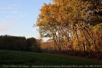 photographie “Le Jour ni l’Heure 1125 : En Lomagne — la promenade du soir en automne, Bournaguet, Plieux, mercredi 7 décembre 2022, 16:30:54” par Renaud Camus — www.renaud-camus.net — paysage, promenade, promenade du soir, la promenade du soir en automne, crépuscule, Bournaguet, Plieux, Gers, Gascogne, arbres