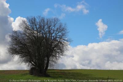 photographie “Le Jour ni l’Heure 4550 : En Lomagne — La Monjette, Sainte-Mère, Gers, Gascogne, dimanche 19 mars 2023, 14:53:11” par Renaud Camus — www.renaud-camus.net — Lomagne, En Lomagne, Gers, Gascogne, Castet-Arrouy, Sainte-Mère, chemin, arbre, La Monjette