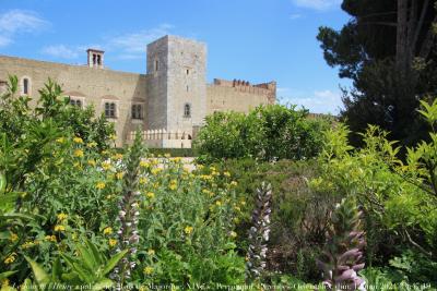 photographie “Le Jour ni l’Heure 6738 : palais des Rois de Majorque, XIVe s., Perpignan-Pyrénées orientales, dimanche 12 mai 2024, 14:47:19” par Renaud Camus — www.renaud-camus.net — Perpignan, palais, palais des Rois de Majorque, jardins, château, Pyrénées-Orientales, Catalogne, Roussillon