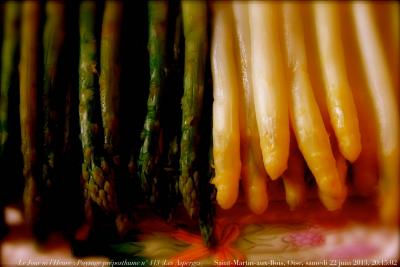 photographie “Le Jour ni l’Heure 6246 : Paysage préposthume n° 113 (Les Asperges) — abbaye de Saint-Martin-aux-Bois, Oise, Picardie, samedi 22 juin 2013, 20:15:02” par Renaud Camus — www.renaud-camus.net — preposthumous landscape, dish, asparagus, table