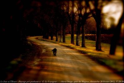 photographie “Le Jour ni l’Heure 7444 : En Lomagne — Paysage pré-posthume n° 47 (“Le Voyageur”) — allée du parc du château de Magnas, Gers, Gascogne, Midi-Pyrénées, France, dimanche 26 février 2012, 17:29:38” par Renaud Camus — www.renaud-camus.net — dog, labrador, alley, allée, park, Gascony, allegory, viator, cane viator, chien, Orage