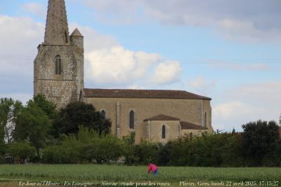 photographie “Le Jour ni l’Heure 5276 : En Lomagne — Simone (étude pour les roses) — Plieux Gers, Gascogne, lundi 22 avril 2025, 17:15:27” par Renaud Camus — www.renaud-camus.net — Simone, Plieux, champs, Lomagne, En Lomagne, Gers, Gascogne, rose, étude pour les roses, église, Saint-Jean-Baptiste