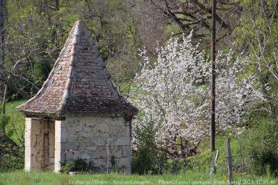 photographie “Le Jour ni l’Heure 4366 : Avril en Lomagne — Plieux, Gers, Gascogne, mardi 4 avril 2024, 17:10:48” par Renaud Camus — www.renaud-camus.net — puits, arbre fruitier, arbre en fleurs, Lomagne, En Lomagne, Plieux, Gers, Gascogne, printemps, Le Printemps en Lomagne