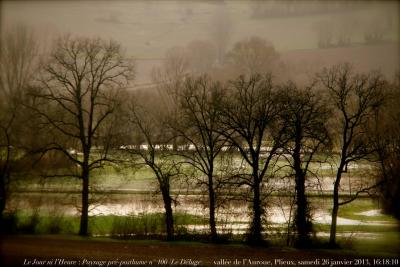 photographie “Le Jour ni l’Heure 0085 : Paysage pré-posthume n° 100 (Le Déluge) — vallée de l’Auroue, Plieux, Gers, Gascogne, samedi 26 janvier 2013, 16:18:10” par Renaud Camus — www.renaud-camus.net — landscape, preposthumous, vallée, valley, inondation, flood, débordement, Gascony