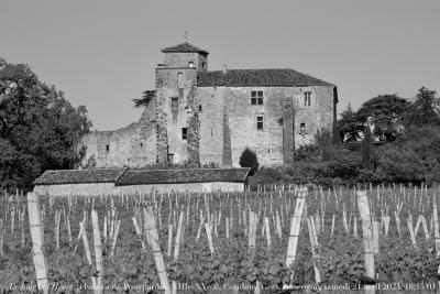 photographie “Le Jour ni l’Heure 5208 : château de Pouypardin, XIIIe-XVe s., Condom, Gers, Gascogne, samedi 21 avril 2024, 18:15:01” par Renaud Camus — www.renaud-camus.net — Pouypardin, château de Pouypardin, Condom, Gers, Gascogne, château