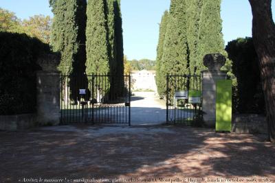 photographie “« Arrêtez le massacre ! » : sursignalisation, gâchis, château d’Ô, Conseil général de l’Hérault, lundi 10 octobre 2016, 11:28:19” par Renaud Camus — www.renaud-camus.net — Ô, O, château d’Ô, Montpellier, Hérault, Languedoc-Roussillon, Occitanie, vandalisme, signalisation, sursignalisation, désignalisation, Au pays des Vandales, 10 octobre 2016