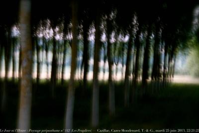 photographie “Le Jour ni l’Heure 6664 : Paysage préposthume n° 112 (Les Peupliers) — Hommage à Degouve de Nuncques — Cazillac, commune de Cazes-Mondenard, Tarn-&-Garonne, Midi-Pyrénées, mardi 25 juin 2013, 22:21:25” par Renaud Camus — www.renaud-camus.net — preposthumous landscape, soir, evening, poplars