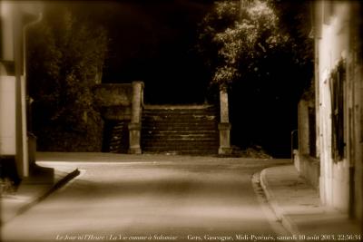 photographie “Le Jour ni l’Heure 8076 : La Vie comme à Solomiac — Gers, Gascogne, Midi-Pyrénées, samedi 10 août 2013, 22:56:34” par Renaud Camus — www.renaud-camus.net — paysage, landscape, escalier, stairs, jardin, garden, parc, park, Gascony, nuit, night