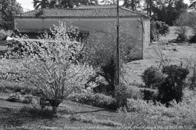 photographie “Le Jour ni l’Heure 4583 : En Lomagne — Hommage à Daniel Boudinet — La Croix, Plieux, Gers, Gascogne, mardi 9 avril 2024, 16:17:27” par Renaud Camus — www.renaud-camus.net — cerisier, Plieux, Lomagne, En Lomagne, Gers, Gascogne, arbre, La Croix, jardin, verger, printemps, Boudinet, Daniel Boudinet