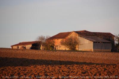 photographie “Le Jour ni l‘Heure 1172 : En Lomagne — Étude pour les rouges — Taurignac, Miradoux, Gers, Gascogne, mercredi 7 décembre 2022, 16:57:24” par Renaud Camus — www.renaud-camus.net — Taurignac, Miradoux, Gers, Gascogne, Lomagne, En Lomagne, étude pour les rouges