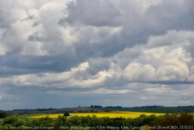 photographie “Le Jour ni l’Heure 5406 : En Lomagne — étude pour les jaunes, L’Isle-Bouzon, Gers, Gascogne, vendredi 26 avril 2024, 12:57:54” par Renaud Camus — www.renaud-camus.net — paysage, jaune, étude pour les jaunes, Lomagne, En Lomagne, Gers, Gascogne, L’Isle-Bouzon, Rey, Milord, ciel, ciels