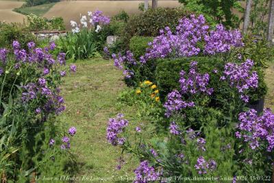 photographie “Le Jour ni l’Heure 5659 : En Lomagne — le jardin Cabestaing, Plieux, Gers, Gascogne, dimanche 5 mai 2024, 15:03:22” par Renaud Camus — www.renaud-camus.net — jardin, jardin Cabestaing, Cabestaing, Plieux, terrasse, Lomagne, En Lomagne, Gers, Gascogne