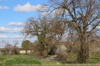 photographie “Le Jour ni l’Heure 3473 : En Lomagne — la fin de l’hiver au Cassé — Plieux, Gers, Gascogne, lundi 18 mars 2024, 16:07:25” par Renaud Camus — www.renaud-camus.net — Cassé, Le Cassé, Le Casse, Lomagne, En Lomagne, Gers, Gascogne, fin d’hiver, la fin de l’hiver au Cassé, Plieux