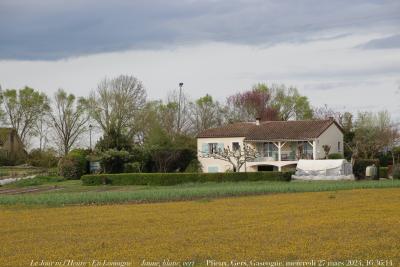 photographie “Le Jour ni l’Heure 3816 : En Lomagne — Jaune, blanc, vert — Plieux, Gers, Gascogne, mercredi 27 mars 2024, 16:36:14” par Renaud Camus — www.renaud-camus.net — jaune, blanc, vert, Jaune blanc vert, maison, Plieux, Gers, Gascogne, Lomagne, En Lomagne