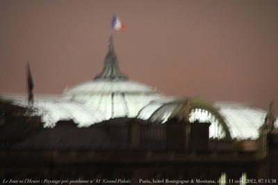photographie “Le Jour ni l’Heure 5162 : Paysage pré-posthume n° 81 (Grand Palais), Paris, chambre d’hôtel, dimanche 11 novembre 2012, 07:14:38” par Renaud Camus — www.renaud-camus.net — landscape, preposthumous, verrière, glassroof, drapeau, flag, chambre d‘hôtel