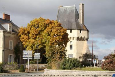 photographie “« Arrêtez le massacre ! » 8308 : château des Ponts-de-Cé, gâché par la signalisation, Maine-et-Loire, lundi 7 novembre 2016, 13:10:07” par Renaud Camus — www.renaud-camus.net — Les Ponts-de-Cé, Ponts-de-Cé, château des Ponts de Cé, château, Saint-Aubin, roi René, Drôlerie des Ponts de Cé, « Arrêtez le massacre ! », Au pays des Vandales, vandalisme, signalisation, désignalisation, panneaux, 7 novembre 2016