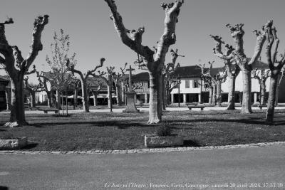 photographie “Le Jour ni l’Heure 5203 : Fourcès, Gers, Gascogne, samedi 20 avril 2024, 17:53:39” par Renaud Camus — www.renaud-camus.net — Fourcès, Gers, Gascogne, couverts, place