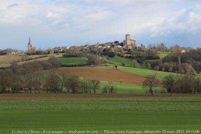 photographie “Le Jour ni l’Heure 4637 : En Lomagne — étude pour les verts — Plieux, Gers, Gascogne, dimanche 19 mars 2023, 16:33:08” par Renaud Camus — www.renaud-camus.net — Plieux, village, château, Lomagne, En Lomagne, clocher, église, tour, Gers, Gascogne, champs, vert, étude pour les verrs