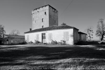 photographie “Le Jour ni l’Heure 5215 : château de Plieux (II), XIIIe-1808, Condom, Gers, Gascogne, samedi 20 avril 2024, 18:45:00e Jour ni l’Heure :” par Renaud Camus — www.renaud-camus.net — Plieux, château de Plieux, Condom, Lialores, Gers, Armagnac, Gascogne, château, donjon, chartreuse, 1808