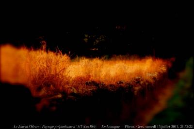 photographie “Le Jour ni l’Heure 7068 : Paysage préposthume n° 117 (“Les Blés”) — En Lomagne — Plieux, Gers, Gascogne, samedi 13 juillet 2013, 21:52:22” par Renaud Camus — www.renaud-camus.net — preposthumous landscape, corn, wheat, Summer, Été, promenade du soir, chemin, path, sentier