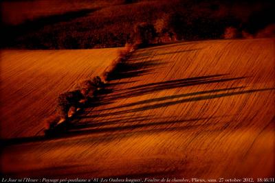 photographie “Le Jour ni l’Heure 3609 : Paysage pré-posthume n° 81 (“Les Ombres longues”) — Fenêtre de la chambre, Plieux, Gers, Gascogne, samedi 27 octobre 2012, 18:46:31” par Renaud Camus — www.renaud-camus.net — landscape, preposthumous, shadows, window, bedroom window, soir, evening