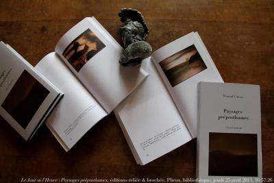 photographie “Le Jour ni l’Heure 3709 : Paysages préposthumes, éditions reliée & brochée, Chez l’auteur, Plieux, bibliothèque, jeudi 25 avril 2013, 16:57:26” par Renaud Camus — www.renaud-camus.net — Paysages préposthumes, livres, books, albums, preposthumous landscapes