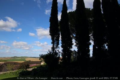 photographie “Le Jour ni l’Heure 4769 : En Lomagne — Dans la cour — Plieux, Gers, Gascogne, jeudi 11 avril 2024, 17:37:05” par Renaud Camus — www.renaud-camus.net — cour, Plieux, Gers, Gascogne, Dans la cour, cyprès, pin parasol, paysage, Lomagne, En Lomagne