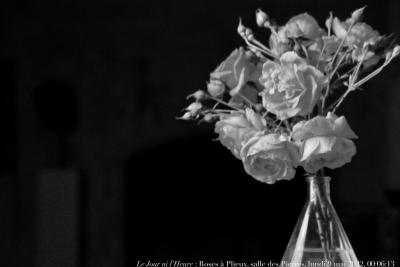 photographie “Le Jour ni l’Heure 5045 : Roses à Plieux — salle des Pierres, lundi 9 mai 2022, 00:06:13” par Renaud Camus — www.renaud-camus.net — roses, roses à Plieux, salle des Pierres, Intérieur à Plieux