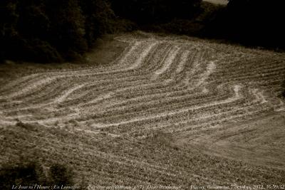 photographie “Le Jour ni l’Heure 2290 : En Lomagne — Paysage pré-posthume n°75 (“Dans les champs”), Plieux, environs de La Rouquette, Gers, Gascogne, dimanche 7 octobre 2012, 16:59:32” par Renaud Camus — www.renaud-camus.net — paysage, landscape, fields, soir, evening, chaumes