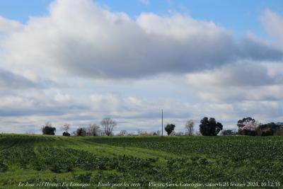 photographie “Le Jour ni l’Heure 2895 : En Lomagne — Étude pour les verts — Plieux, Gers, Gascogne, samedi 24 février 2024, 16:12:34” par Renaud Camus — www.renaud-camus.net — Plieux, Gers, Gascogne, Lomagne, En Lomagne, champs, vert, étude pour les verts, culture, agriculture, La Rouquette, Enduré, Boulant