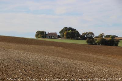 photographie “Le Jour ni l’Heure 9677 : En Lomagne — la maison Tucoula, Lectoure, Gers, Gascogne, samedi 22 octobre 2022, 16:39:15” par Renaud Camus — www.renaud-camus.net — Tucoula, la maison Tucoula, Lectoure, Gers, Gascogne, maison, ferme, habitat