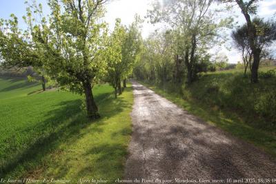 photographie “Le Jour ni l’Heure 3179 : En Lomagne — Après la pluie — chemin du Point du jour, Miradoux, Gers, Gascogne, mercredi 16 avril 2025, 18:38:48” par Renaud Camus — www.renaud-camus.net — pluie, Après la pluie, Lomagne, En Lomagne, Miradoux, Gers, Gascogne, chemi, route, Levant