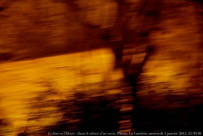 photographie “Le Jour ni l\'Heure 3411 : Paysage pré-posthume — “Dans le silence d\'un ravin”, Plieux, mercredi 4 janvier 2012, 15:39:30” par Renaud Camus — www.renaud-camus.net — ravin, forra, arbre, tree, Bonnefoy, Yves Bonnefoy, poésie, poesia