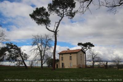 photographie “Le Jour ni l’Heure 4589 : En Lomagne — entre Castet-Arrouy et Sainte-Mère, Gers, Gascogne, dimanche 19 mars 2023, 15:33:24” par Renaud Camus — www.renaud-camus.net — maison, pin, Gers, Gascogne, Castet-Arrouy, Sainte-Mère