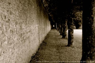 photographie “Le Jour ni l’Heure 9016 : La Vie comme à Sées, Orne, Basse-Normandie, mardi 19 août 2014, 13:51:27” par Renaud Camus — www.renaud-camus.net — Sées, Orne, rue, avenue, mur, wall, Saint-Martin, abbaye Saint-Martin, Normandie, Basse-Normandie, platanes, arbres, trees, perspective